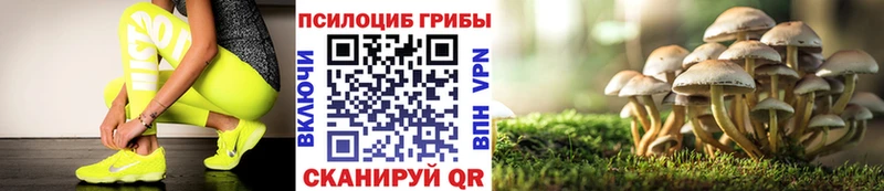 Псилоцибиновые грибы MAGIC MUSHROOMS  купить  сайты  Кимовск 